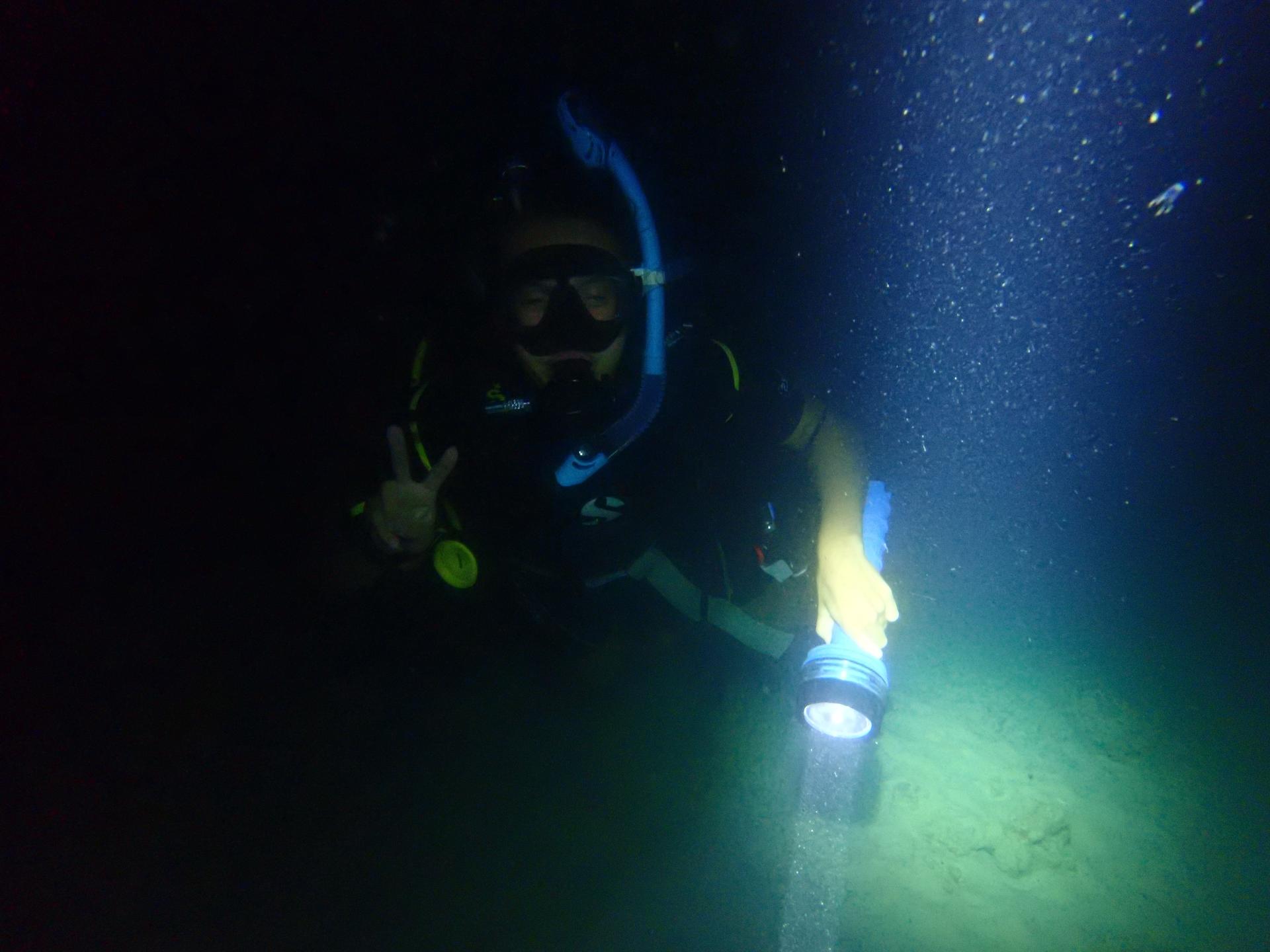 Life saving point reef