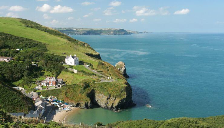 West Wales - Skomer Island