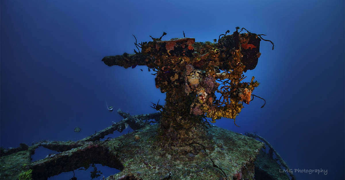 Kitsugawa Maru photo 4