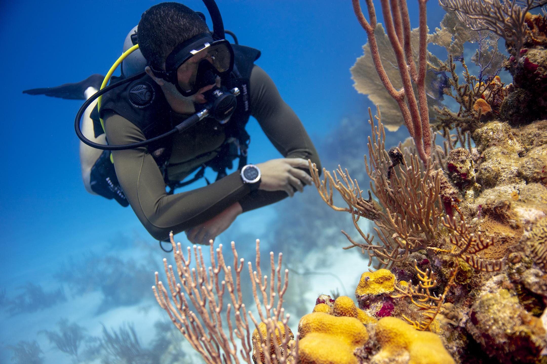Into the blue - The Wall (local dive site)