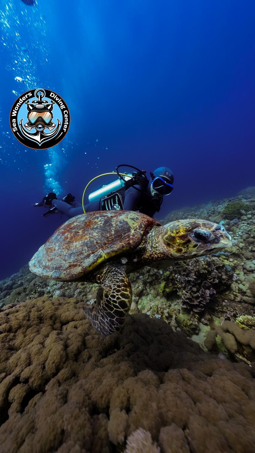 Cabel Reef