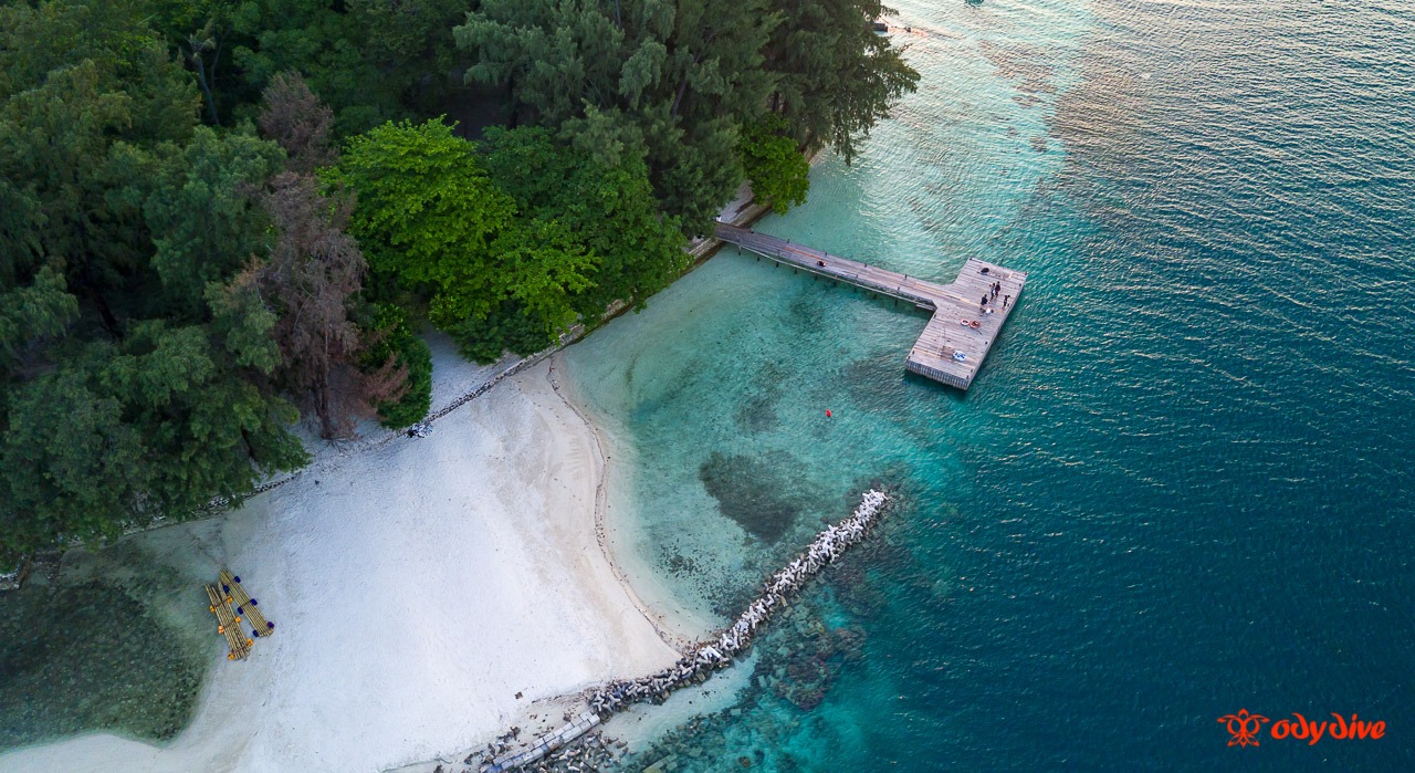 Genteng Kecil House Reef, Pulau Seribu, Jakarta