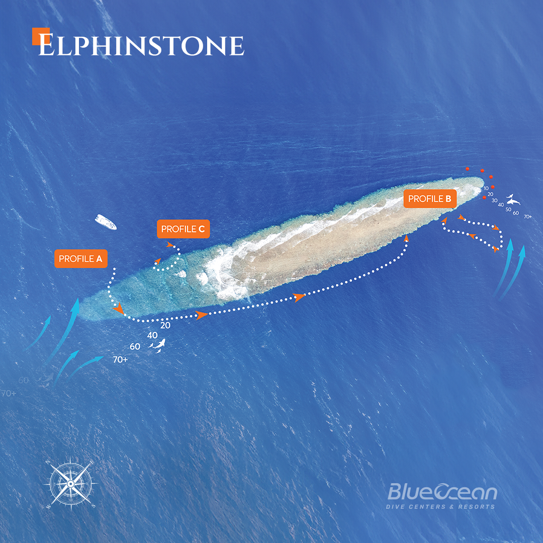 Elphinstone Reef photo 2