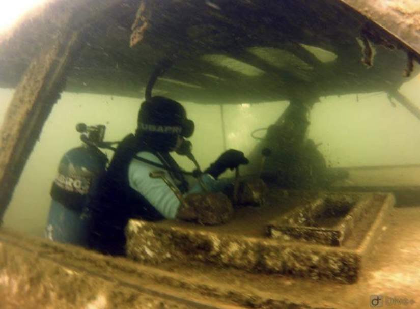 The Scuba Ranch photo 11