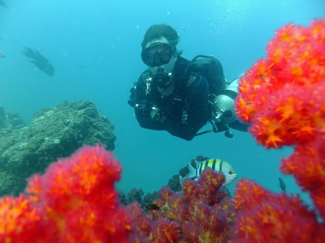 Coral Gardens