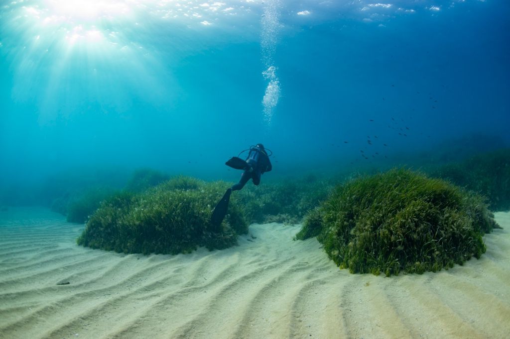 Aquamarine House Reef photo 6