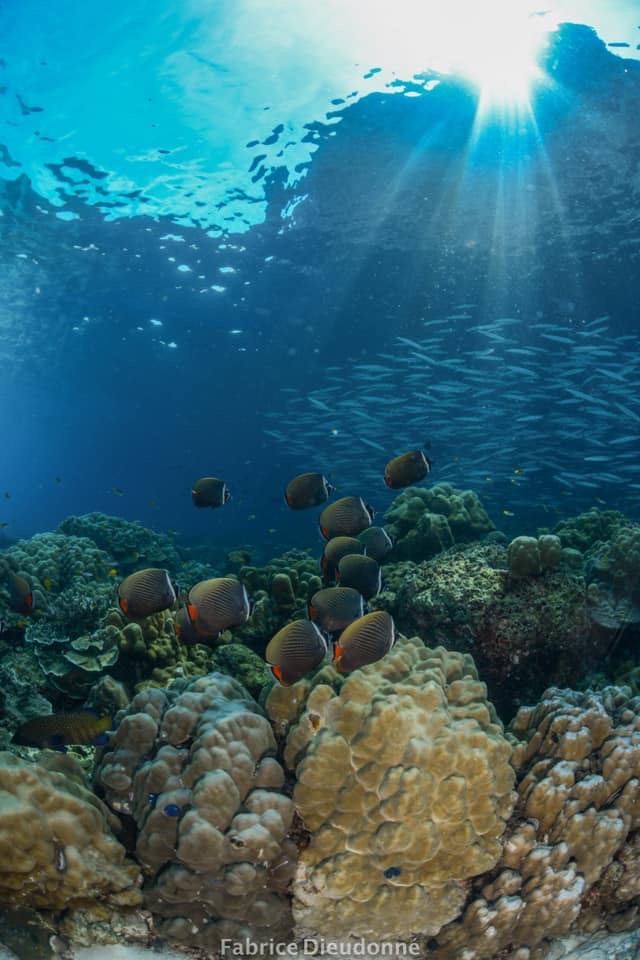 Koh Haa photo 3