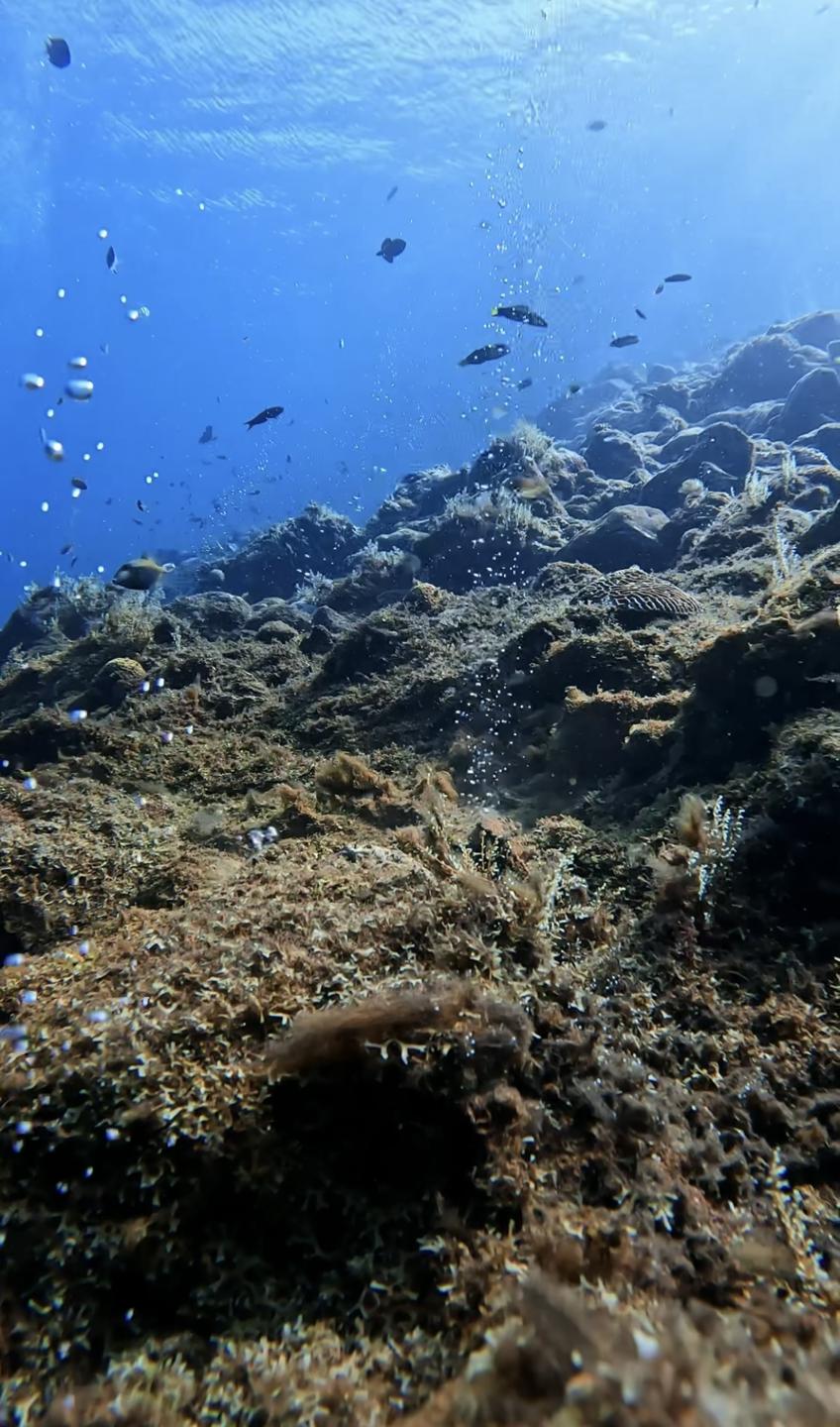 Pasir Merah (Red Sand)