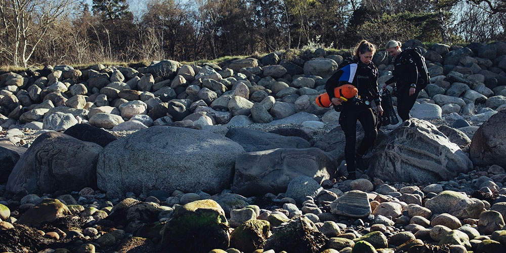 Hornbæk Plantage photo 2