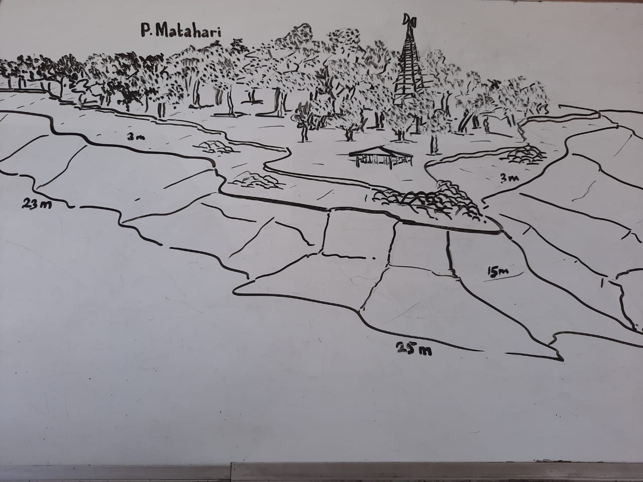 Matahari Reef, Pulau Seribu, Jakarta