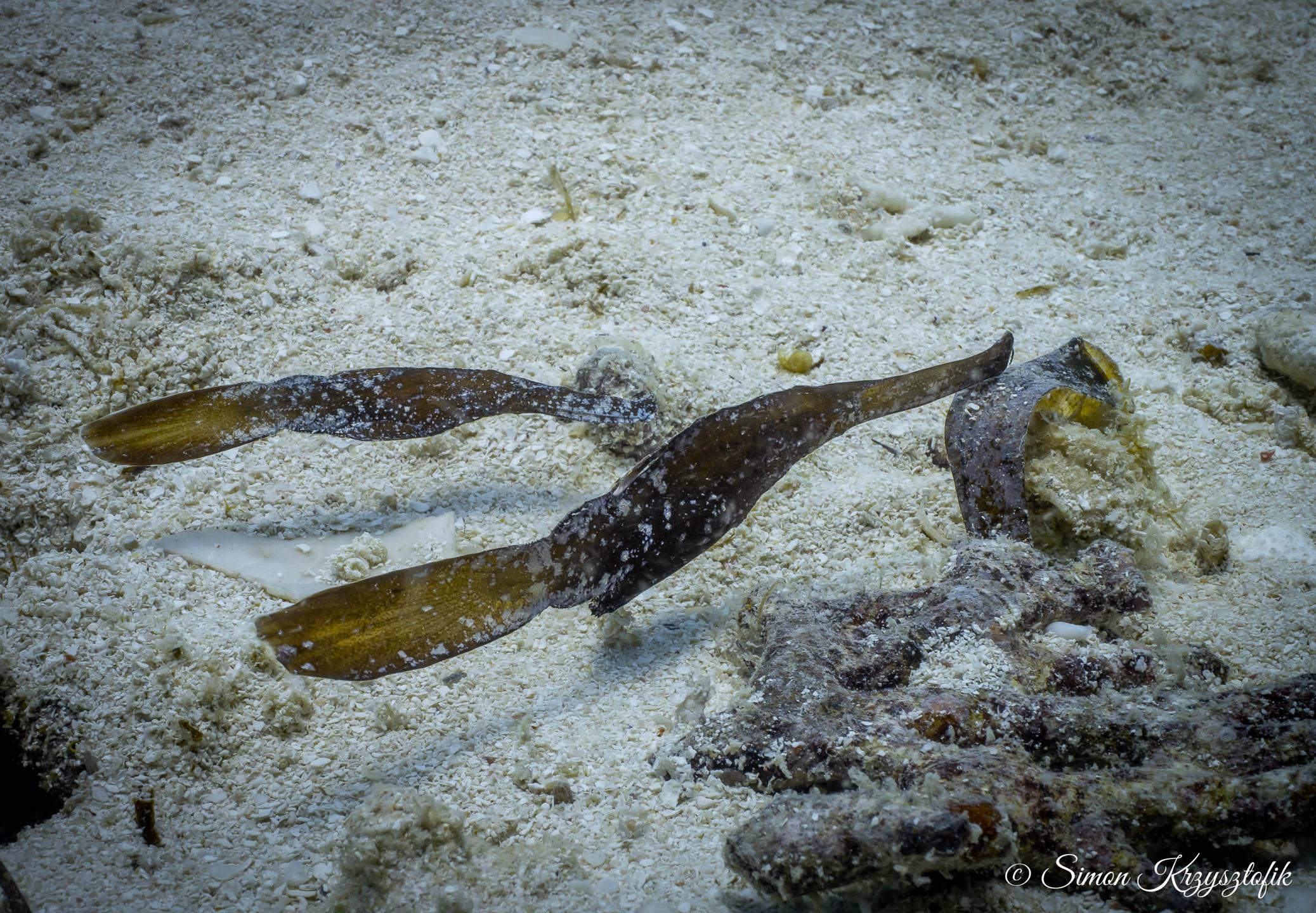 Aquarium