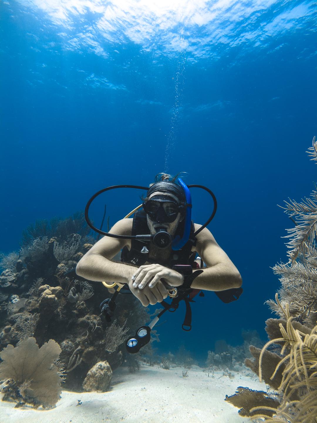 Black Coral Wall