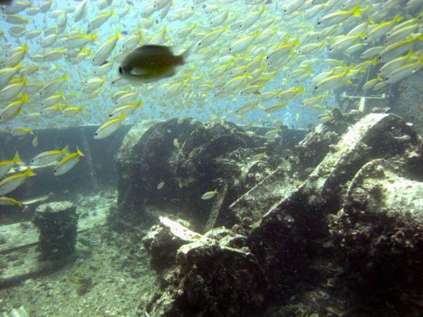 King Cruiser Wreck photo 3