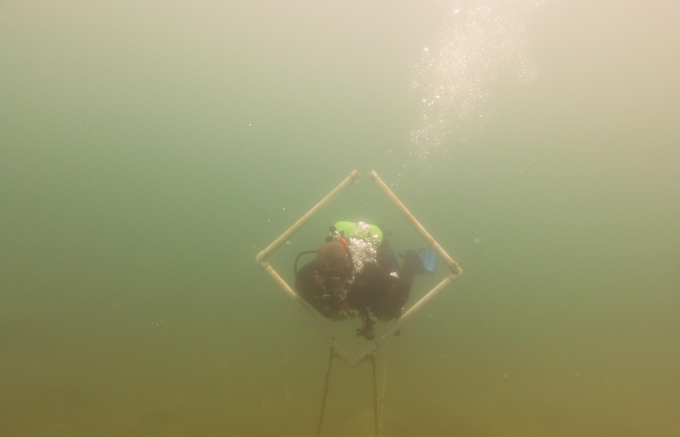 Wazee Lake