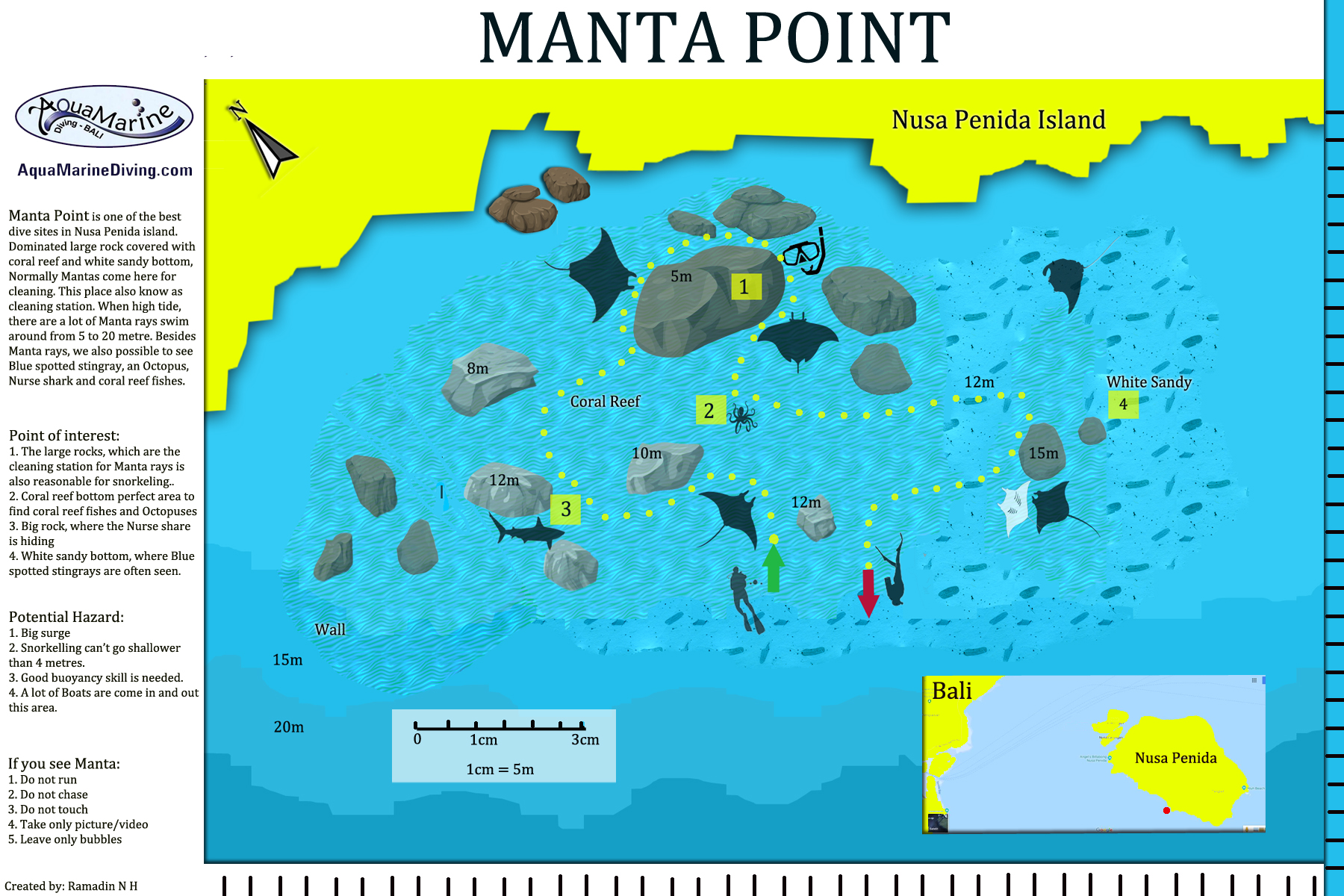 Manta Point photo 2