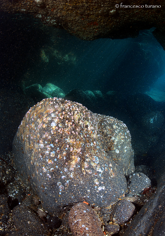 Grotta delle Monete
