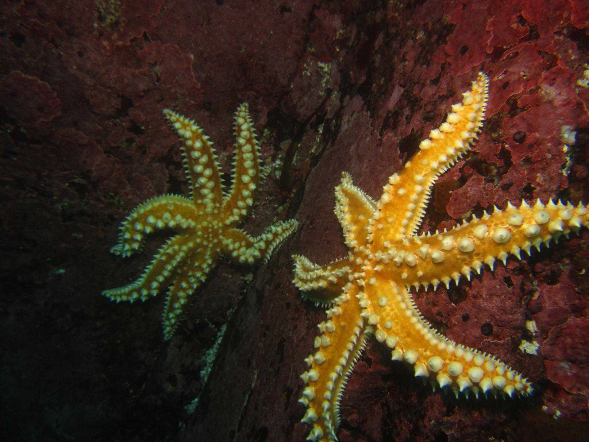 Bahia Ensueño