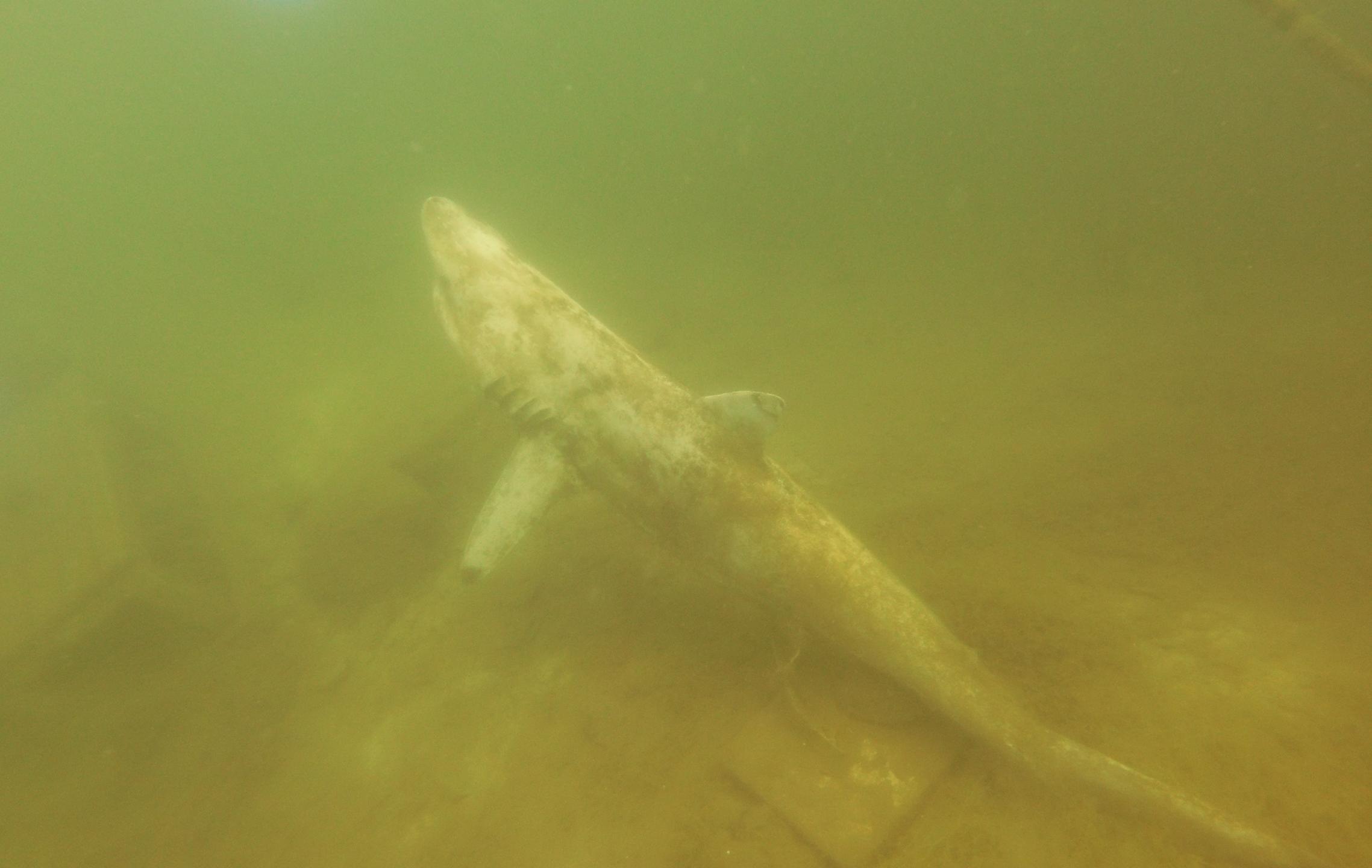 Wazee Lake photo 8