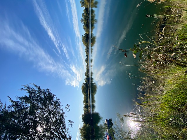 The Scuba Ranch photo 16