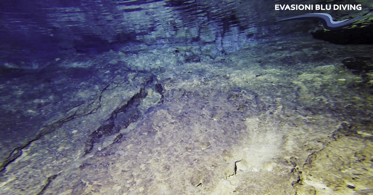 Grotta Totò photo 3