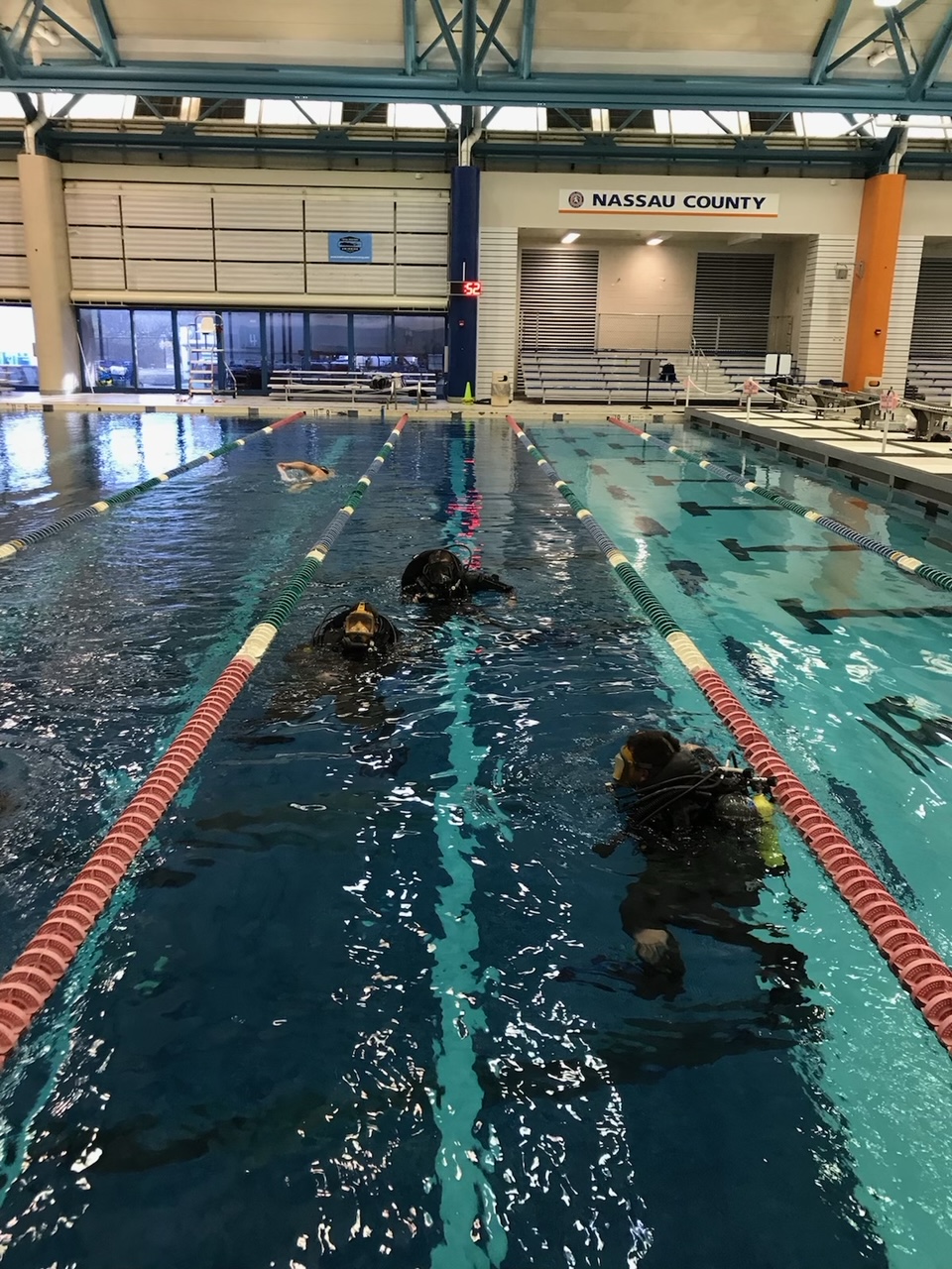 Nassau County Aquatics Center at Eisenhower Park photo 5