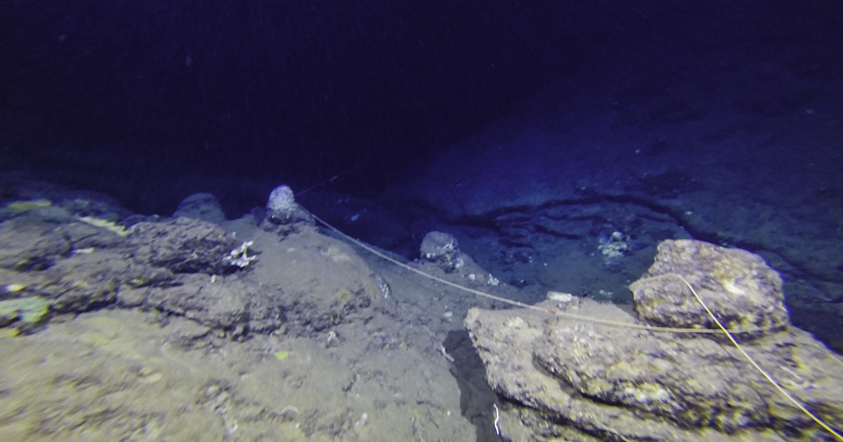 "Grotta delle Stalattiti" photo 3