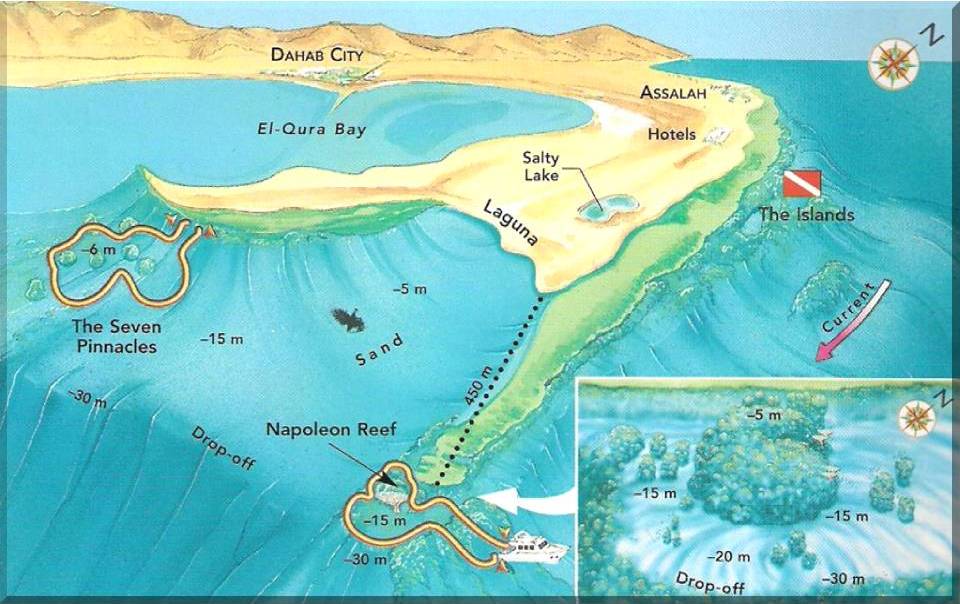 Napoleon Reef