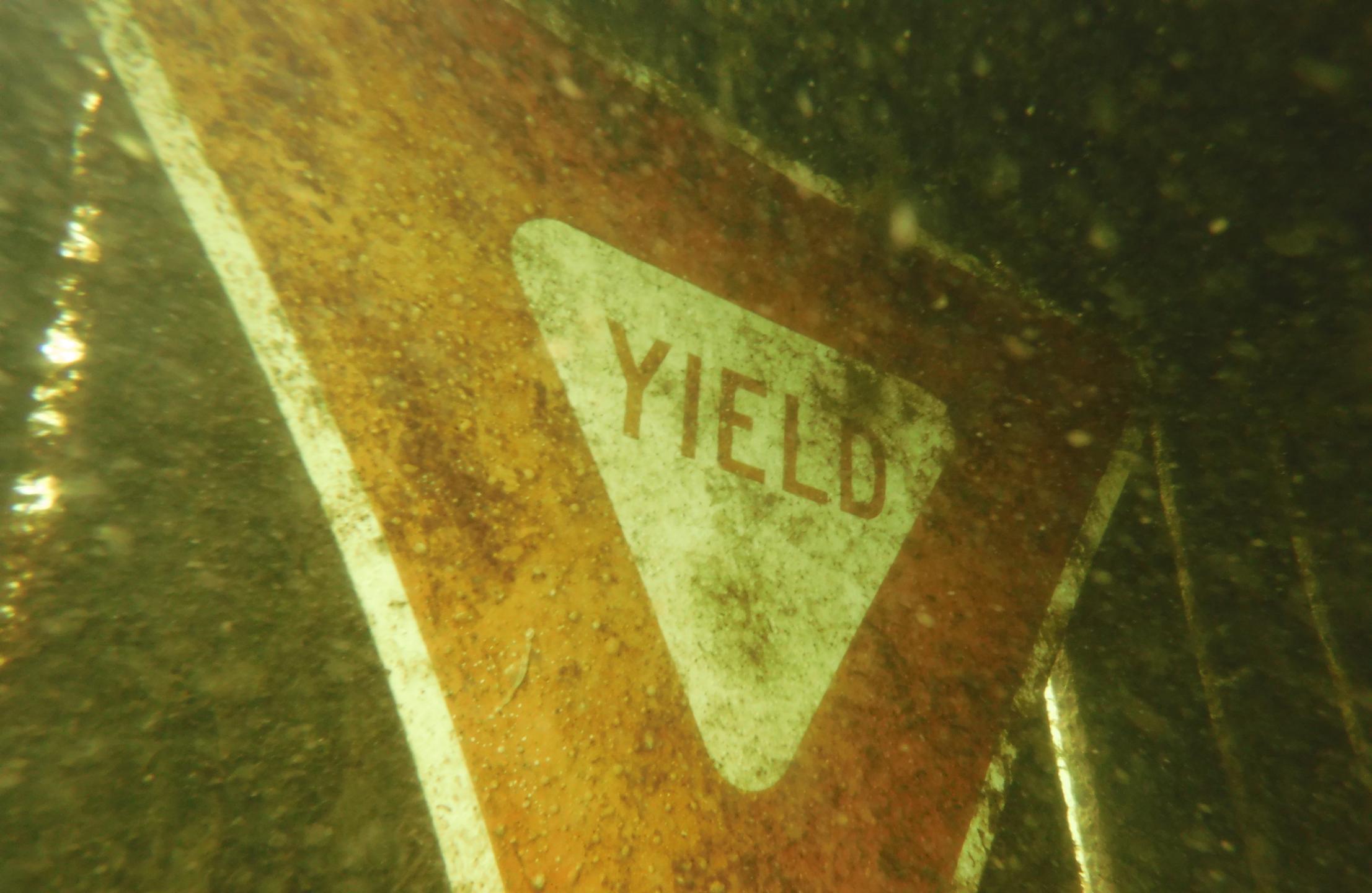 Bluegill Alley photo 4