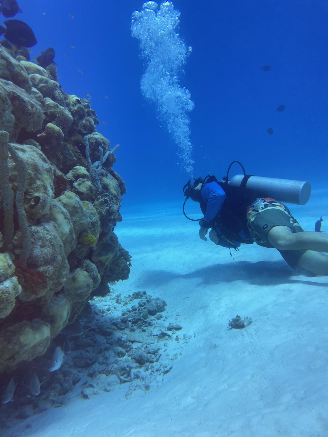 Manchineel Shoals