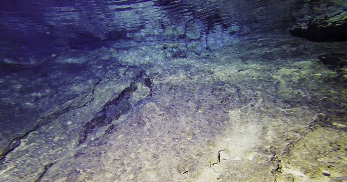"Grotta delle Stalattiti" photo 5