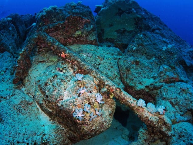 Lost Anchor