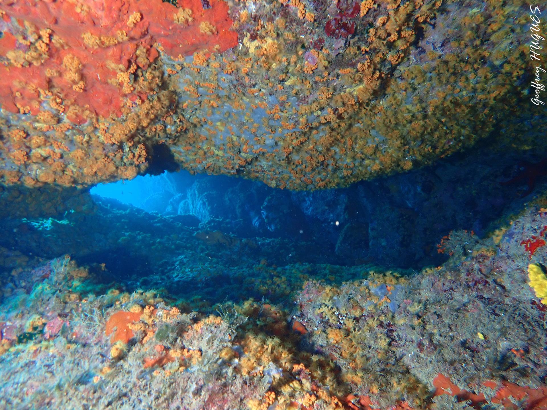 LA FOUILLEE photo 19