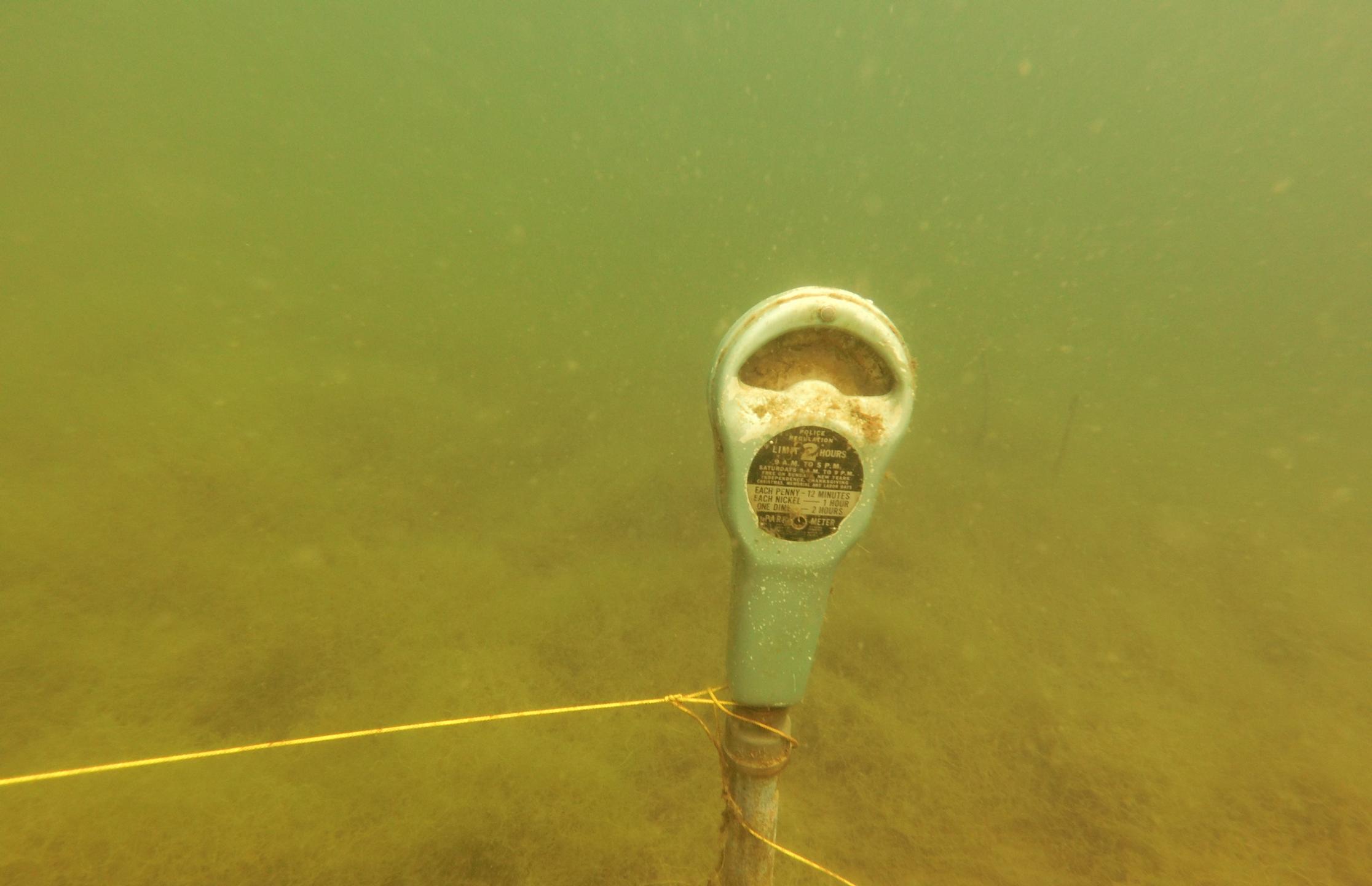 Wazee Lake photo 12