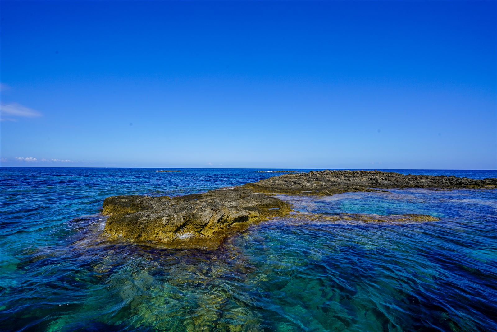 Galea  - Santa Maria - RICADI photo 2