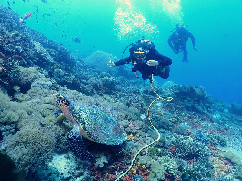 Nusa Dua Reef