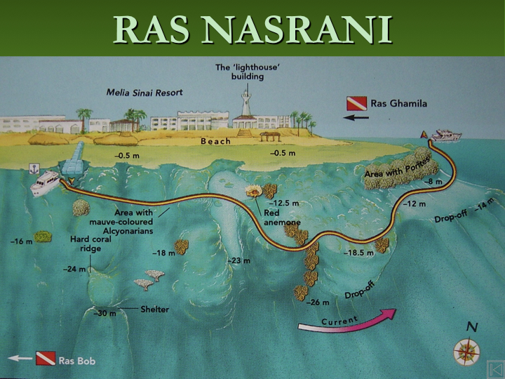 Ras Nasrani