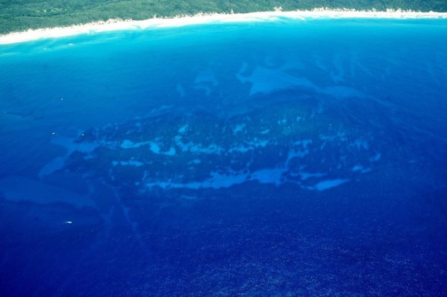 2 Mile reef photo 4