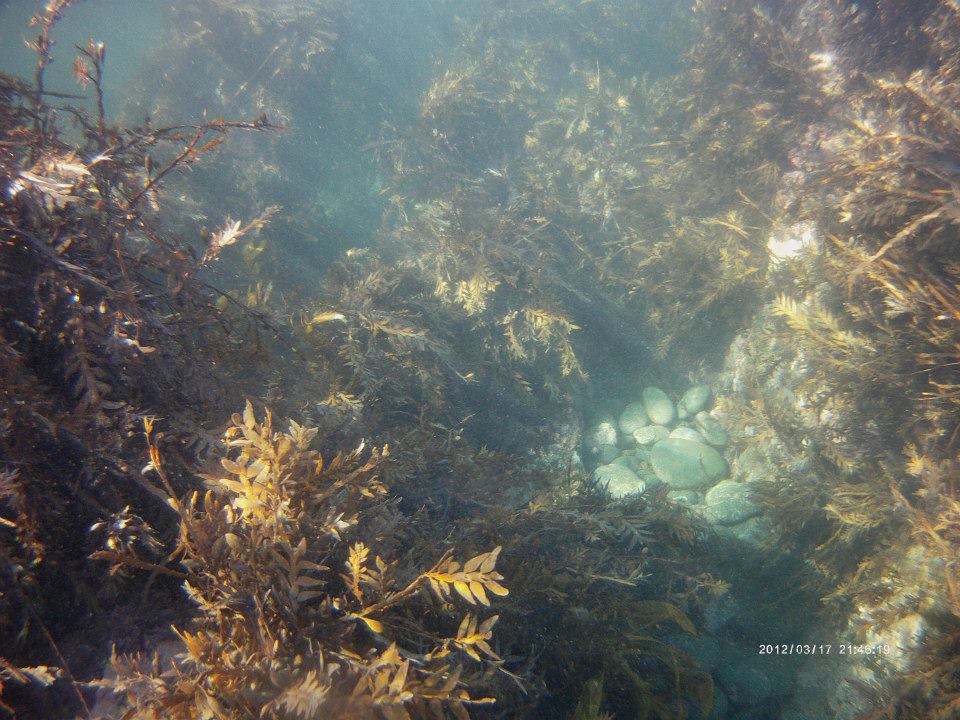 Rocky Bay photo 3