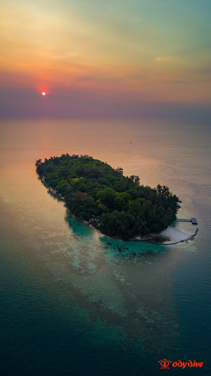 Genteng Kecil House Reef, Pulau Seribu, Jakarta photo 2