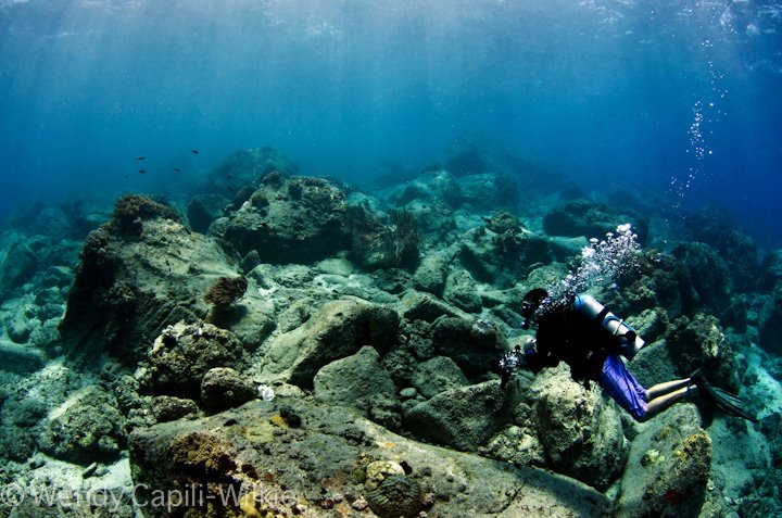 Apo Island photo 4