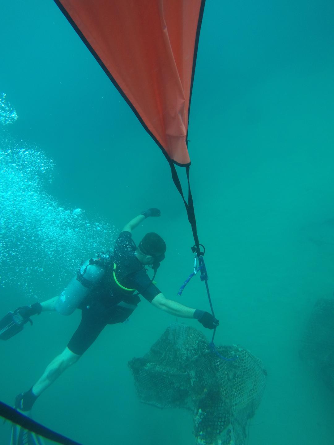 Bahia de Cata