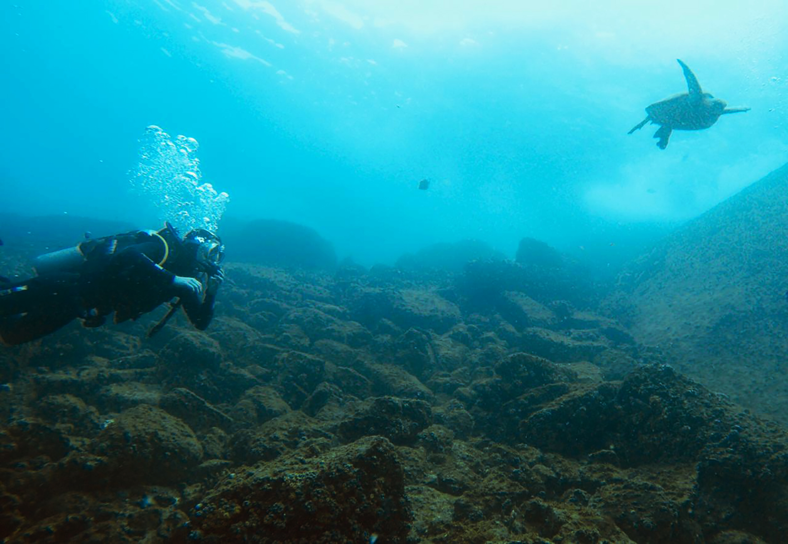ILHA DA FEIA , P & P MERGULHO photo 2