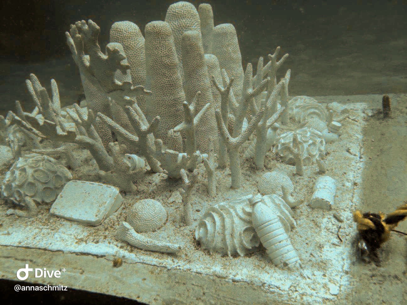 Underwater Museum of the Arts photo 5