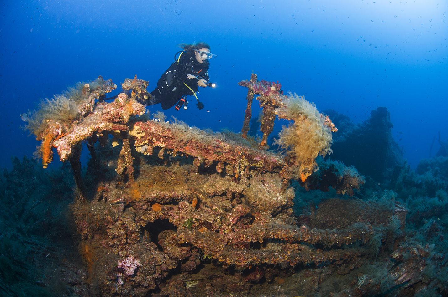 Oued Yquem Wreck