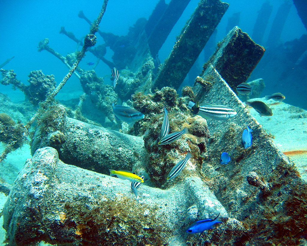Wreck of the Cali