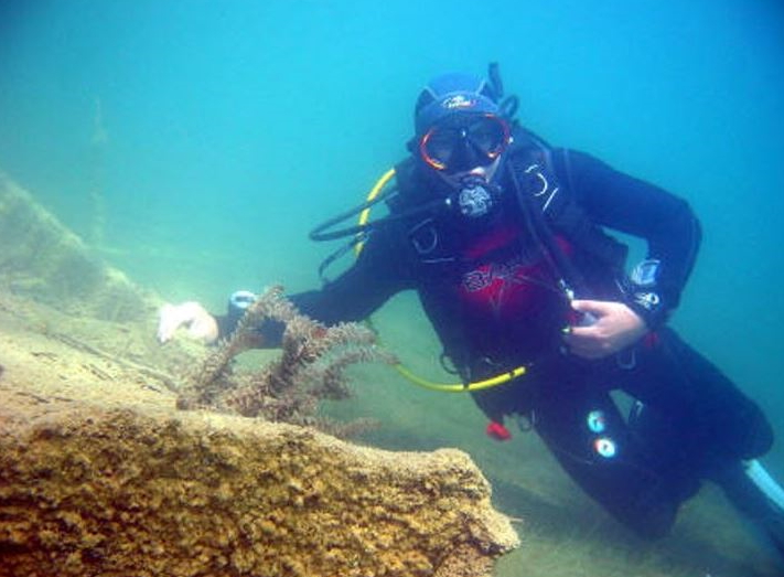 Eldas Wrack photo 4