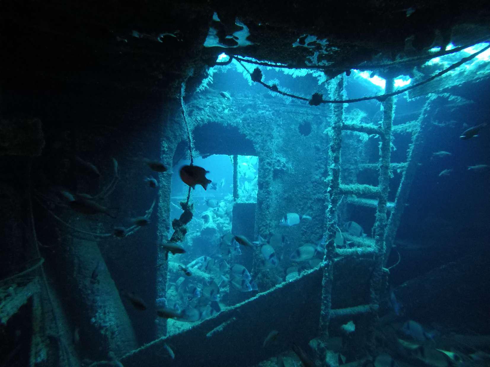 Ocean Diver wreck photo 4