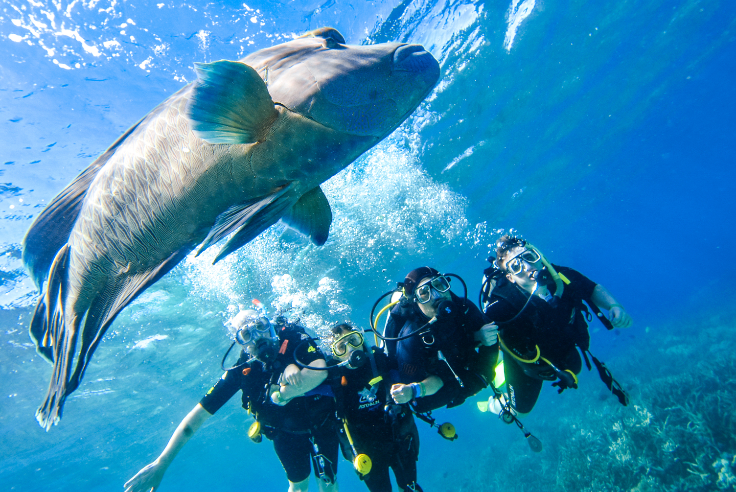 Moore Reef photo 2