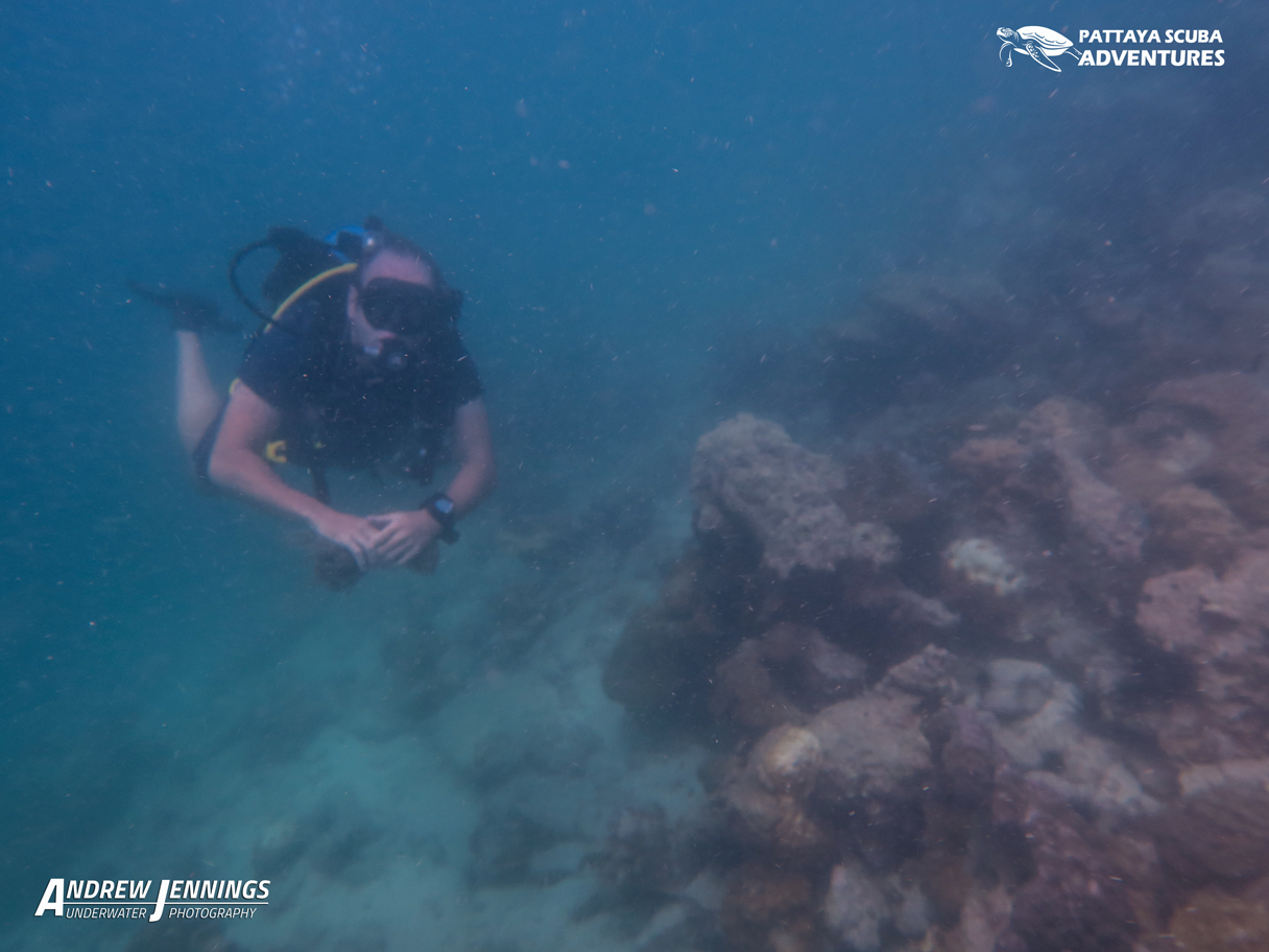South point - Koh Larn