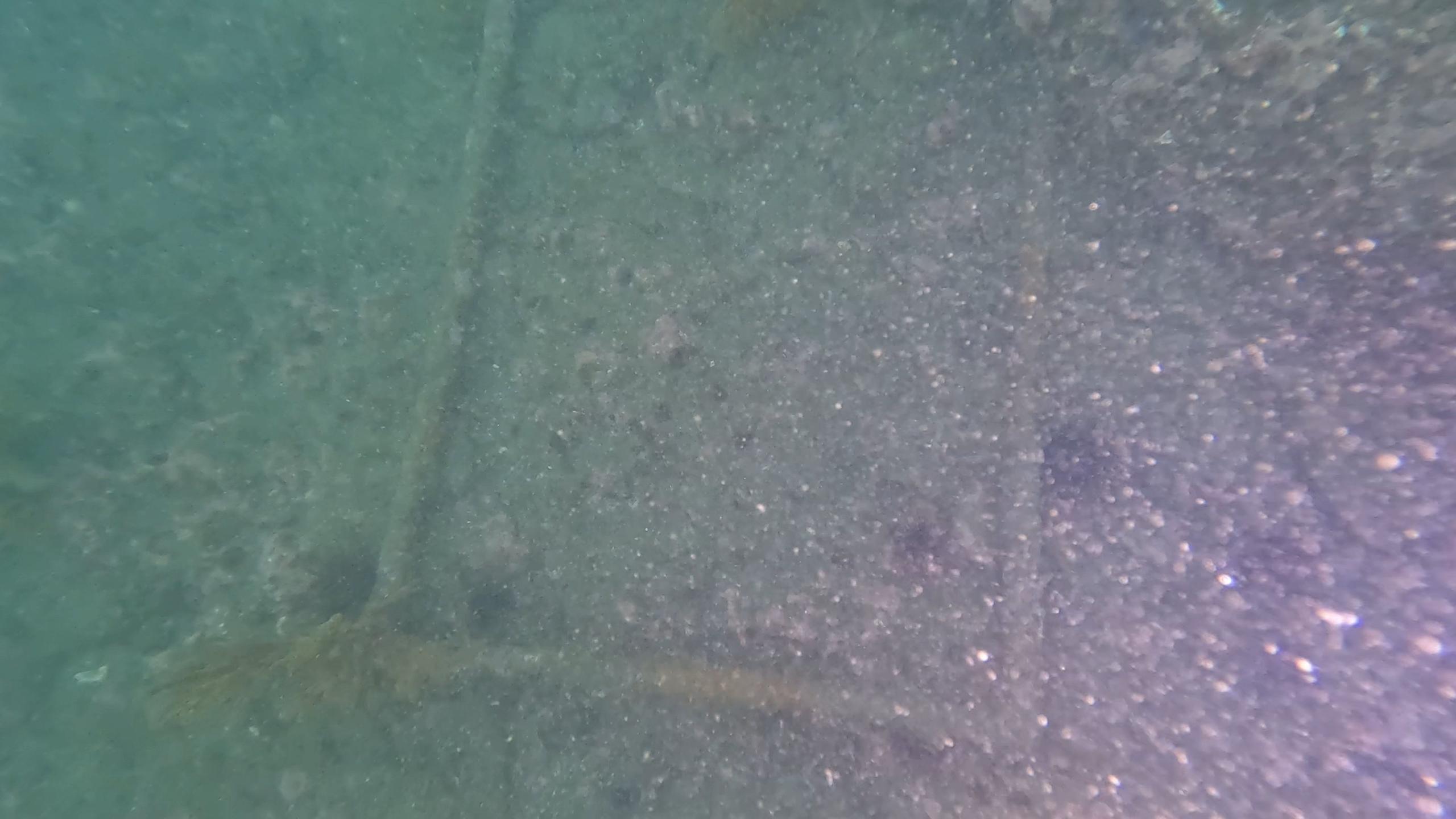 Cabrillo Beach photo 12